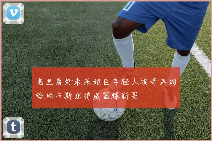 老里看好未来超巨年轻人埃奇库姆哈珀卡斯尔将成篮球新星