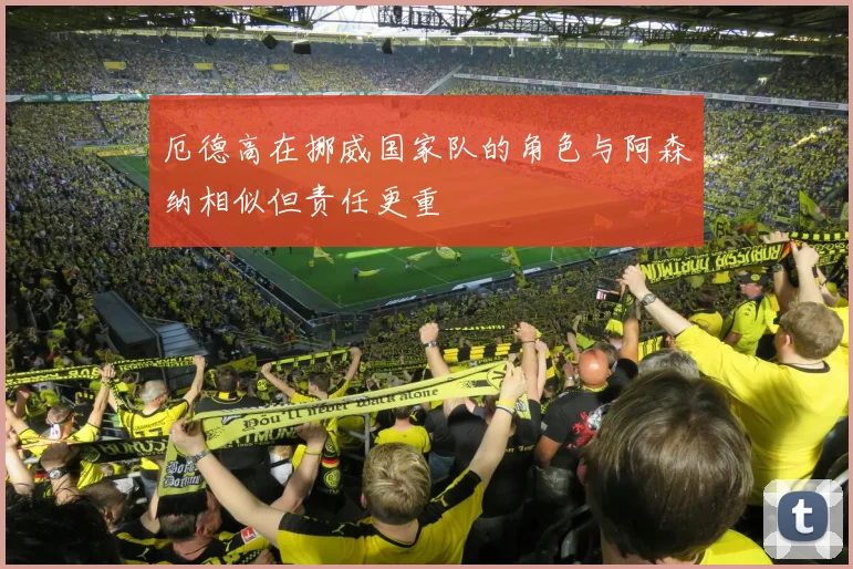 厄德高在挪威国家队的角色与阿森纳相似但责任更重